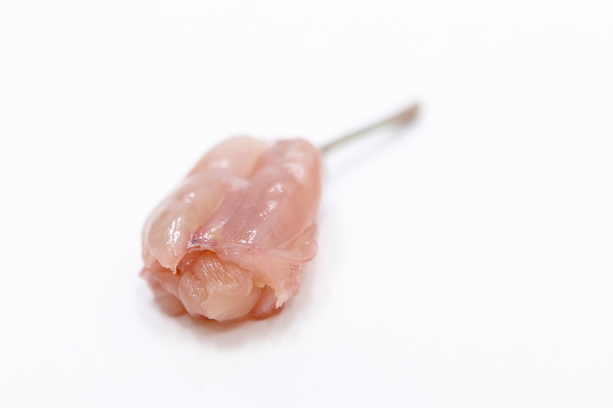 L'Ancachup — frais, muscle inversé sur os